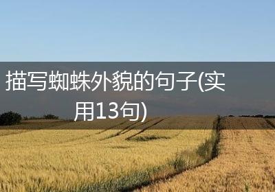 描写蜘蛛外貌的句子(实用13句)
