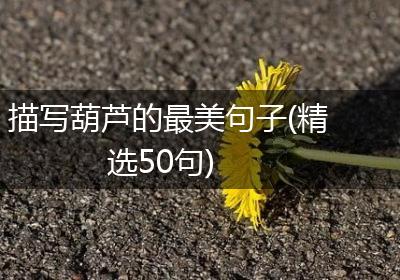描写葫芦的最美句子(精选50句)