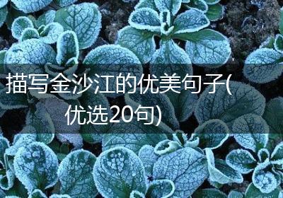 描写金沙江的优美句子(优选20句)