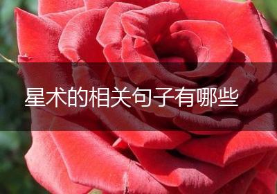 星术的相关句子有哪些