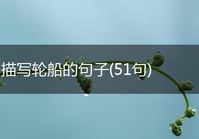 描写轮船的句子(51句)