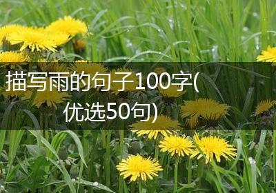 描写雨的句子100字(优选50句)