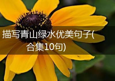 描写青山绿水优美句子(合集10句)