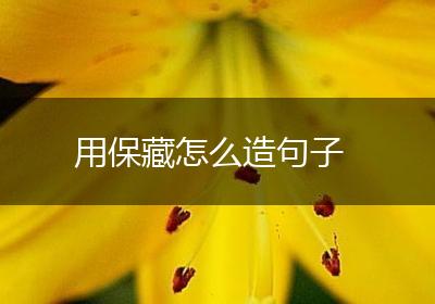 用保藏怎么造句子