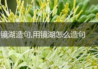 镜湖造句,用镜湖怎么造句