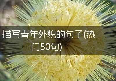 描写青年外貌的句子(热门50句)