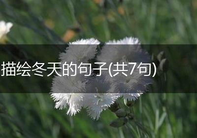 描绘冬天的句子(共7句)