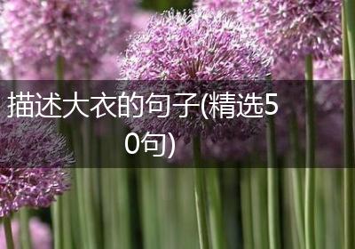 描述大衣的句子(精选50句)