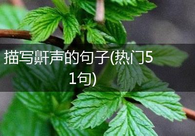描写鼾声的句子(热门51句)