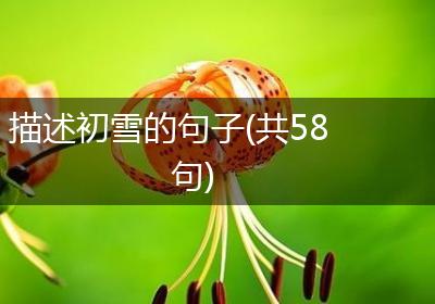 描述初雪的句子(共58句)