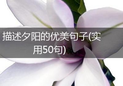 描述夕阳的优美句子(实用50句)