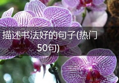 描述书法好的句子(热门50句)