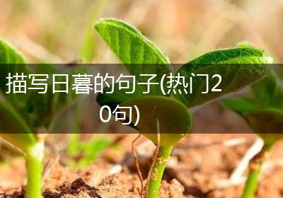 描写日暮的句子(热门20句)