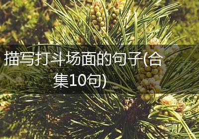 描写打斗场面的句子(合集10句)