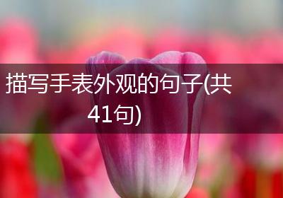 描写手表外观的句子(共41句)