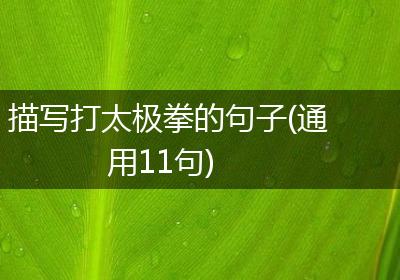 描写打太极拳的句子(通用11句)