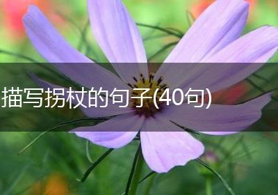 描写拐杖的句子(40句)