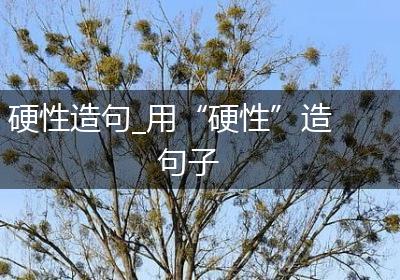 硬性造句_用“硬性”造句子