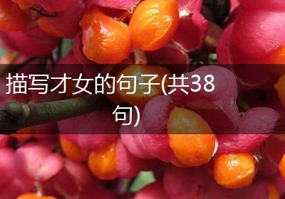 描写才女的句子(共38句)
