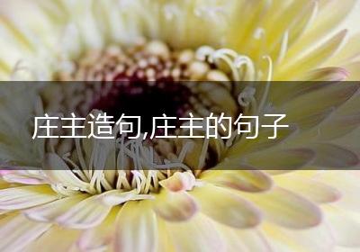 庄主造句,庄主的句子