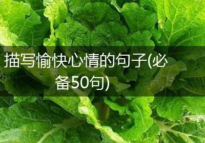 描写愉快心情的句子(必备50句)
