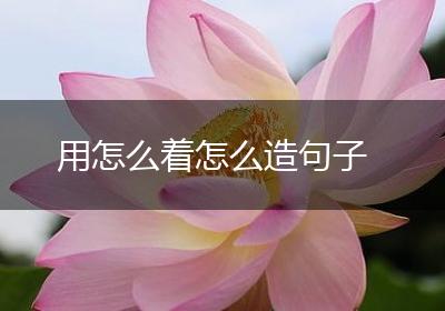 用怎么着怎么造句子