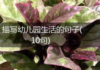 描写幼儿园生活的句子(10句)