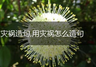 灾祸造句,用灾祸怎么造句