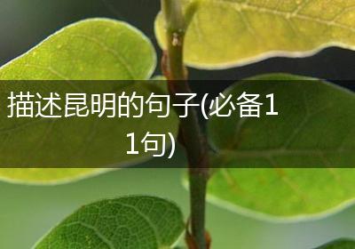 描述昆明的句子(必备11句)