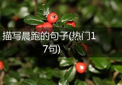 描写晨跑的句子(热门17句)