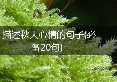 描述秋天心情的句子(必备20句)