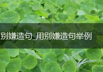 别嫌造句_用别嫌造句举例