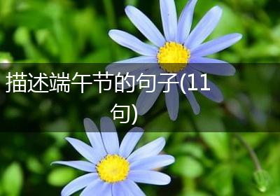 描述端午节的句子(11句)