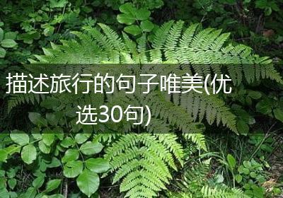 描述旅行的句子唯美(优选30句)