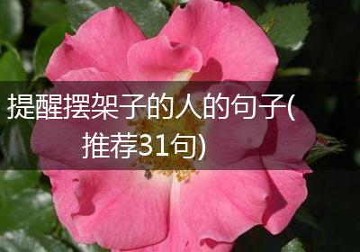 提醒摆架子的人的句子(推荐31句)