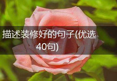 描述装修好的句子(优选40句)