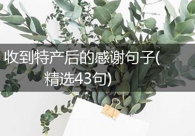 收到特产后的感谢句子(精选43句)