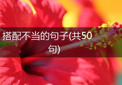 搭配不当的句子(共50句)