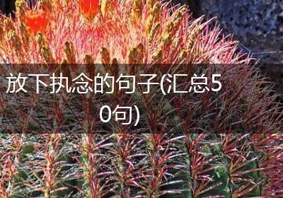 放下执念的句子(汇总50句)