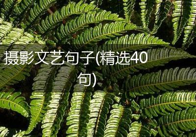 摄影文艺句子(精选40句)