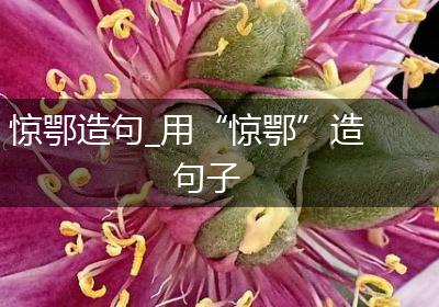惊鄂造句_用“惊鄂”造句子