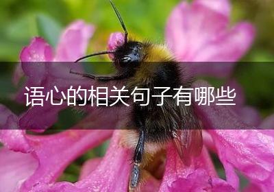 语心的相关句子有哪些