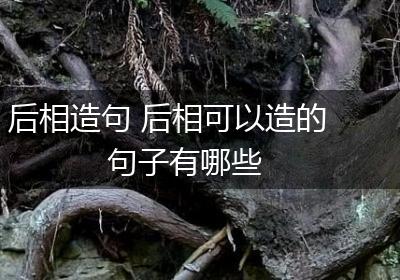 后相造句 后相可以造的句子有哪些