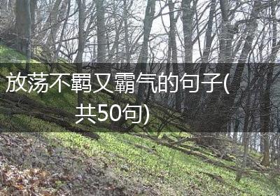 放荡不羁又霸气的句子(共50句)
