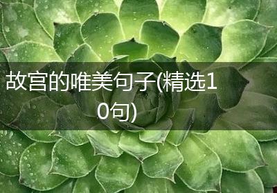 故宫的唯美句子(精选10句)
