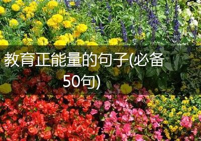 教育正能量的句子(必备50句)
