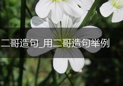 二哥造句_用二哥造句举例