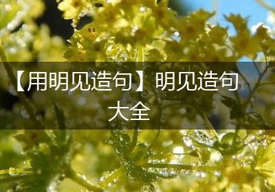 【用明见造句】明见造句大全