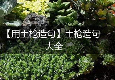 【用土枪造句】土枪造句大全