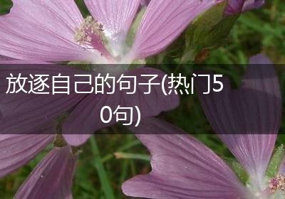 放逐自己的句子(热门50句)